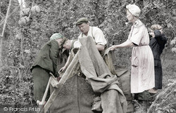Measuring The Hops c.1950, Paddock Wood