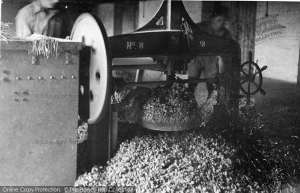 Photo of Paddock Wood, Pressing The Hops c.1950