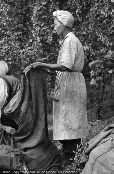 Photo of Paddock Wood, Woman Hop Worker c.1950