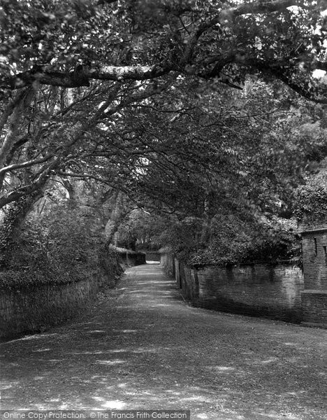 Photo of Padstow, Trethillick Lane 1920