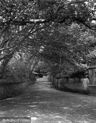 Trethillick Lane 1920, Padstow