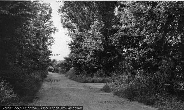 Photo of Pagham, Sea Lane c.1955