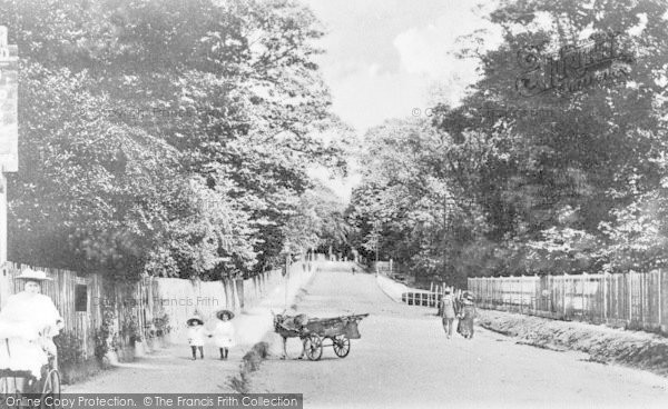Photo of Palmers Green, Aldermans Hill c.1900