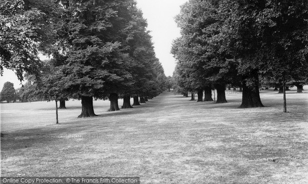 Photo of Palmers Green, Broomfield Park, Avenue Of Elms c.1965