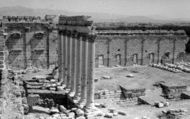 1965, Palmyra