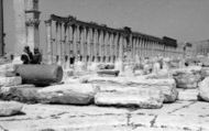 1965, Palmyra