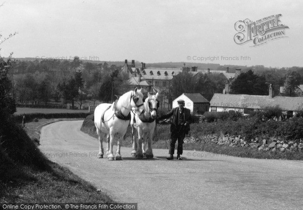Photo of Pantasaph, A Pair Of Working Horses c.1940