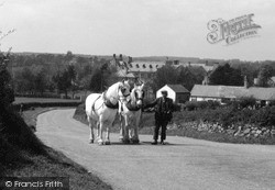 A Pair Of Working Horses c.1940, Pantasaph