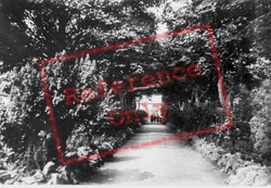 The Avenue c.1935, Pantasaph