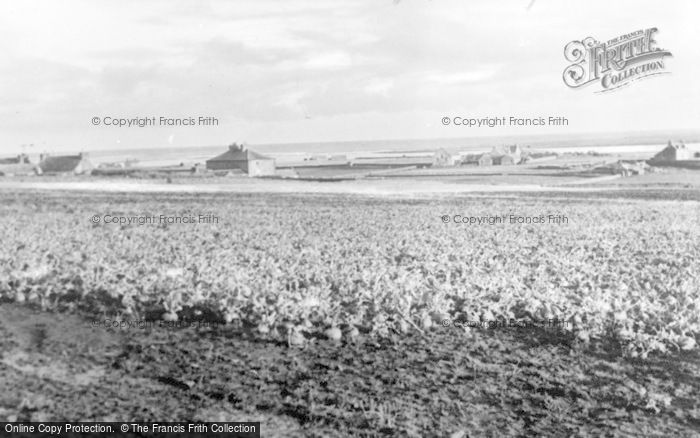 Photo of Papa Westray, General View c.1935