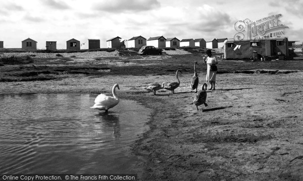 Photo of Par, Feeding The Swans c.1960