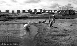 Feeding The Swans c.1960, Par