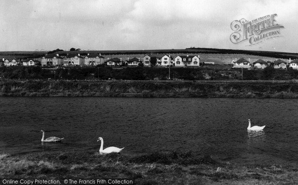 Photo of Par, Swan Lake c.1960