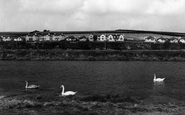Swan Lake c.1960, Par