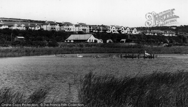 Photo of Par, Swans At The Beach c.1965