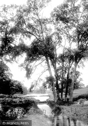 Woodmill Pond 1894, Parham