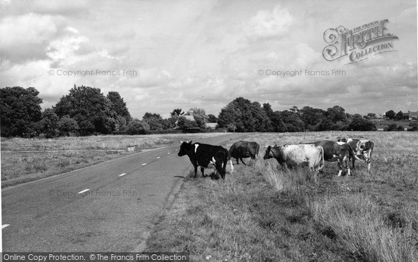 Photo of Partridge Green, Bines Green c.1950