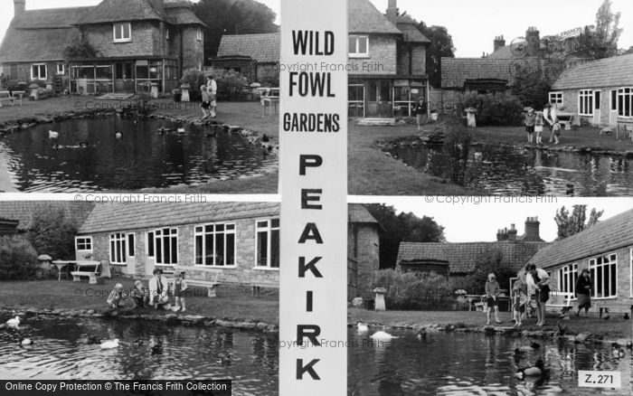 Photo of Peakirk, Wildfowl Gardens Composite c.1965