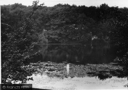 The Lake, Manning Heath c.1950, Pease Pottage