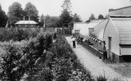 Pell Wall Hall, Kitchen Garden 1911