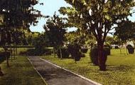 The Park c.1960, Pembroke Dock