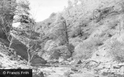 The River c.1955, Penderyn