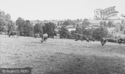 The Meadows c.1955, Pensford