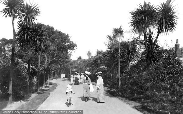 Photo of Penzance, Morrab Gardens 1906