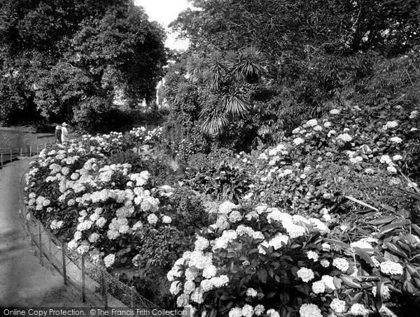 Photo of Penzance, Morrab Gardens 1920