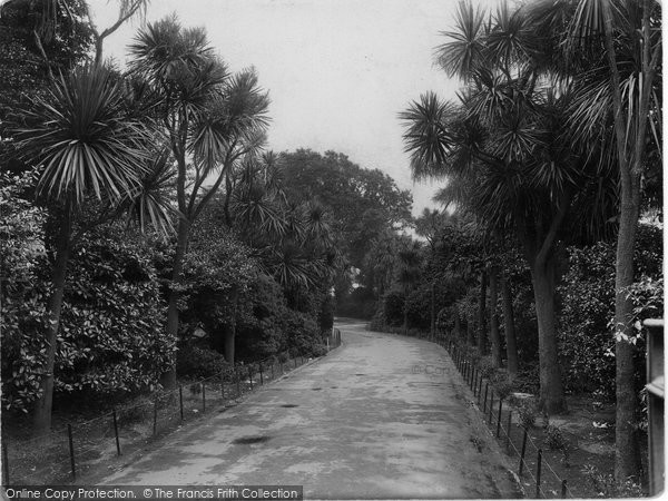 Photo of Penzance, Palm Avenue, Morrab Gardens 1925