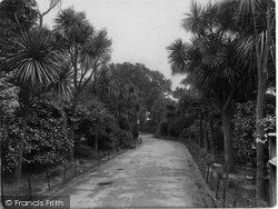 Palm Avenue, Morrab Gardens 1925, Penzance