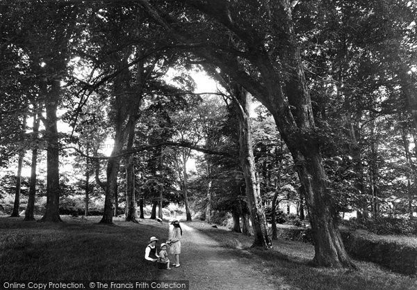 Photo of Penzance, Rose Hill 1920