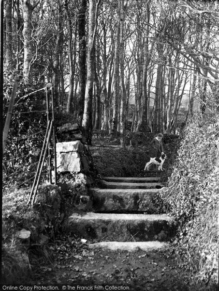 Photo of Penzance, The Old Stile, Tolcarne 1908