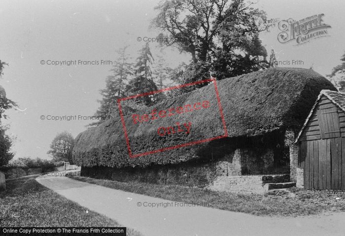 Photo of Peper Harow, Yew Tree Hedge 1907