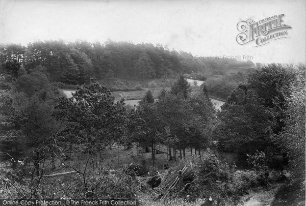 Photo of Perry Wood, From The Mill 1903