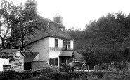 Perry Wood, the Rose and Crown 1903