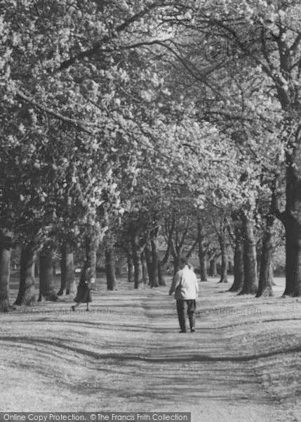 Photo of Pershore, Abbey Grounds c.1965