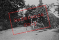 Liss Road 1898, Petersfield