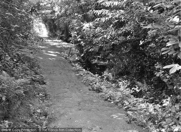 Photo of Petersfield, Path From Workhouse To Town 2005