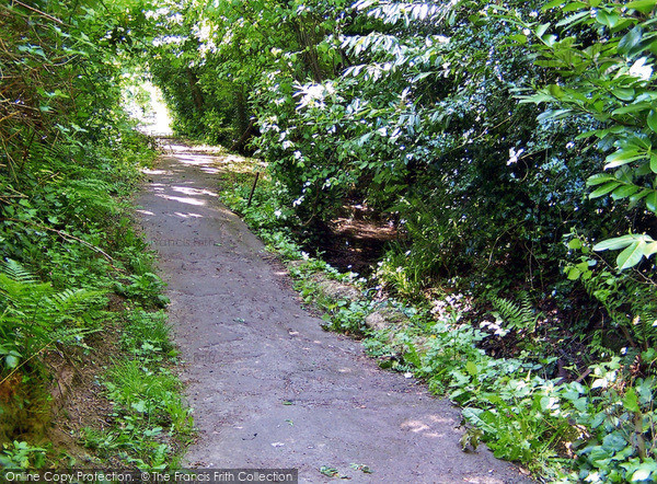 Photo of Petersfield, Path From Workhouse To Town 2005