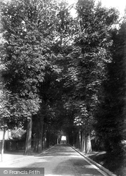The Avenue 1906, Petersfield
