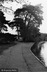 The Heath Pond 2004, Petersfield