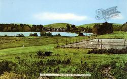 The Lake And Heath c.1950, Petersfield