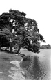 The Lake c.1955, Petersfield