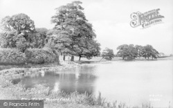 The Pond 1906, Petersfield