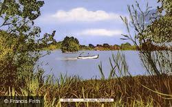 The Pond c.1955, Petersfield