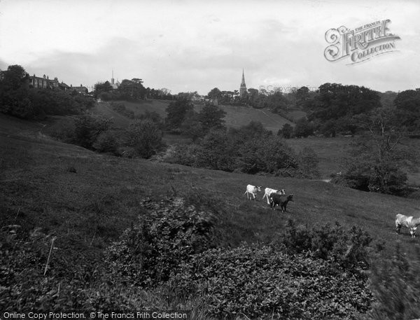 Photo of Petworth, And Rectory Meadows 1936