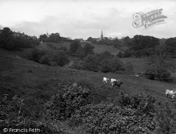 And Rectory Meadows 1936, Petworth