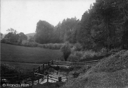 Near Virgin Mary Spring 1900, Petworth