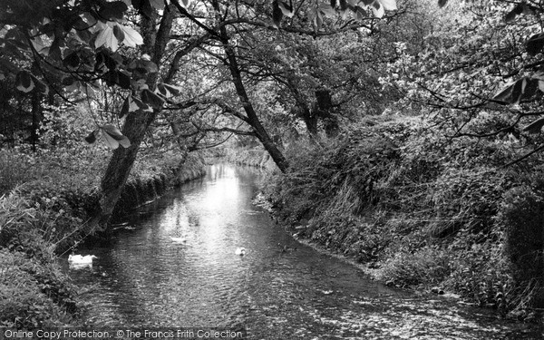 Photo of Pewsey, The Stream c.1955
